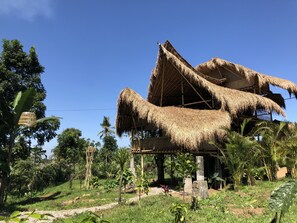 Front of property - Bamboo & B - Hostel (Banyuwangi)