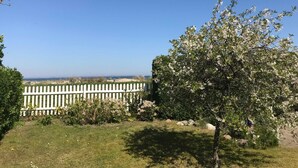 Une zone herbeuse bordée d’une clôture blanche en bois, un arbre aux fleurs blanches et, au loin, une vue dégagée sur la plage.