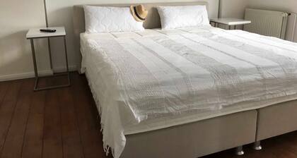 Lilly, Glowe auf Rügen, Deutschland