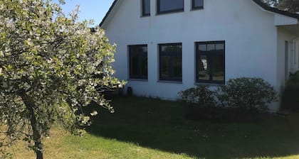 Lilly, Glowe auf Rügen, Deutschland