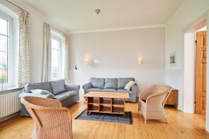 Fernseher, Kamin