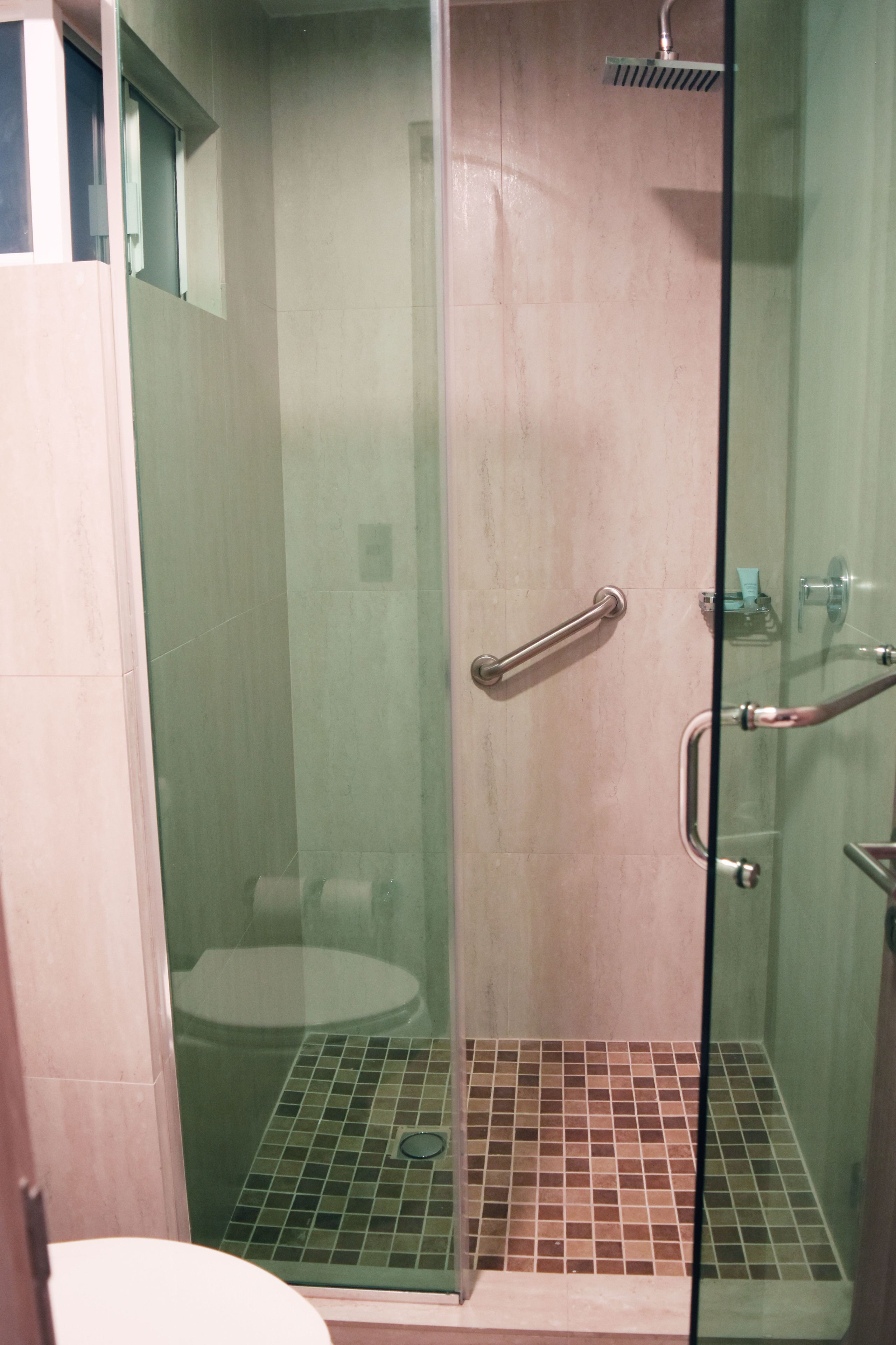 A glass-enclosed shower area with a tiled floor, a handrail, and a toilet visible through the glass.