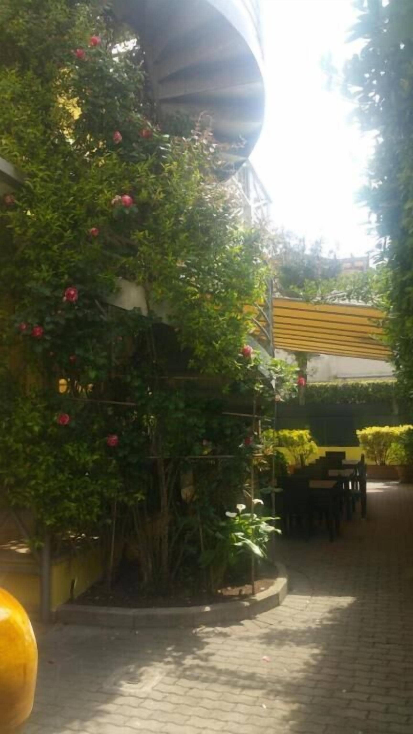 Terrein van de accommodatie