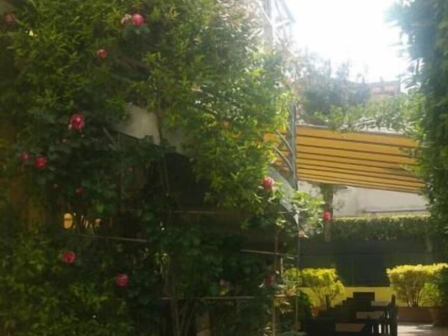 Zona exterior pavimentada amb una pèrgola, plantes en testos i zona de seients.