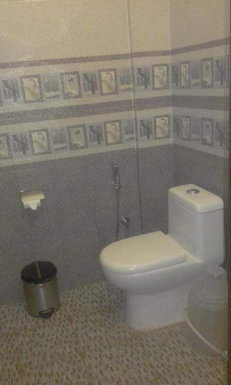A bathroom with a toilet, a shower, and a trash bin.
