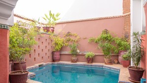 A swimming pool surrounded by potted plants and a tiled wall.