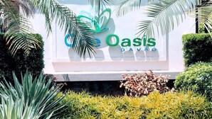 Un letrero con el logotipo de Oasis rodeado de plantas tropicales.