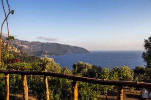 Uitzicht vanuit accommodatie