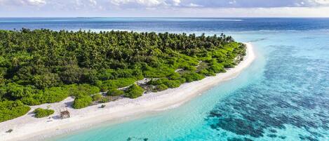 Una playa cerca, buceo, snorkel, windsurf