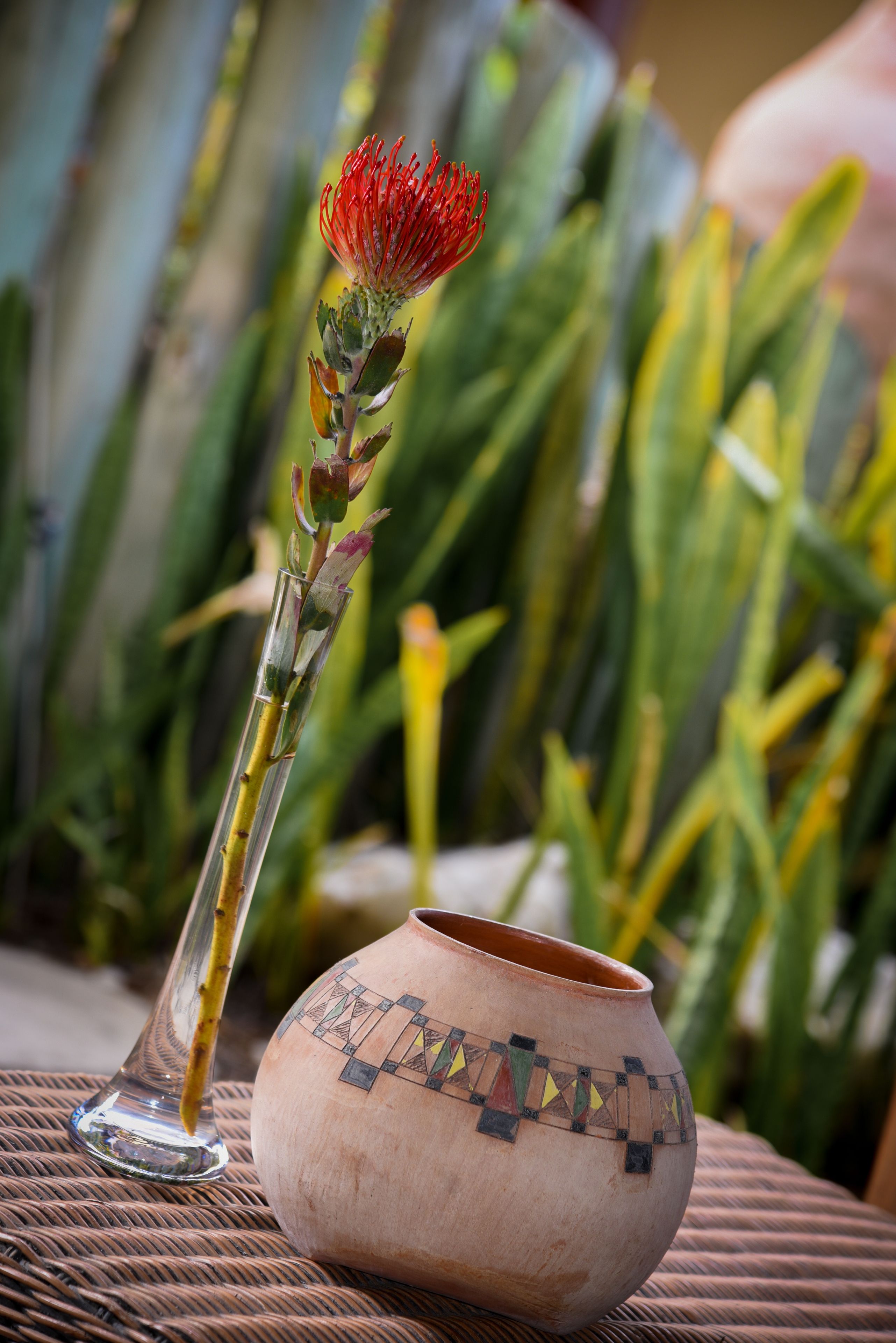 Un florero de vidrio transparente con una flor roja, una maceta de cerámica con diseños geométricos y una mesa de mimbre.