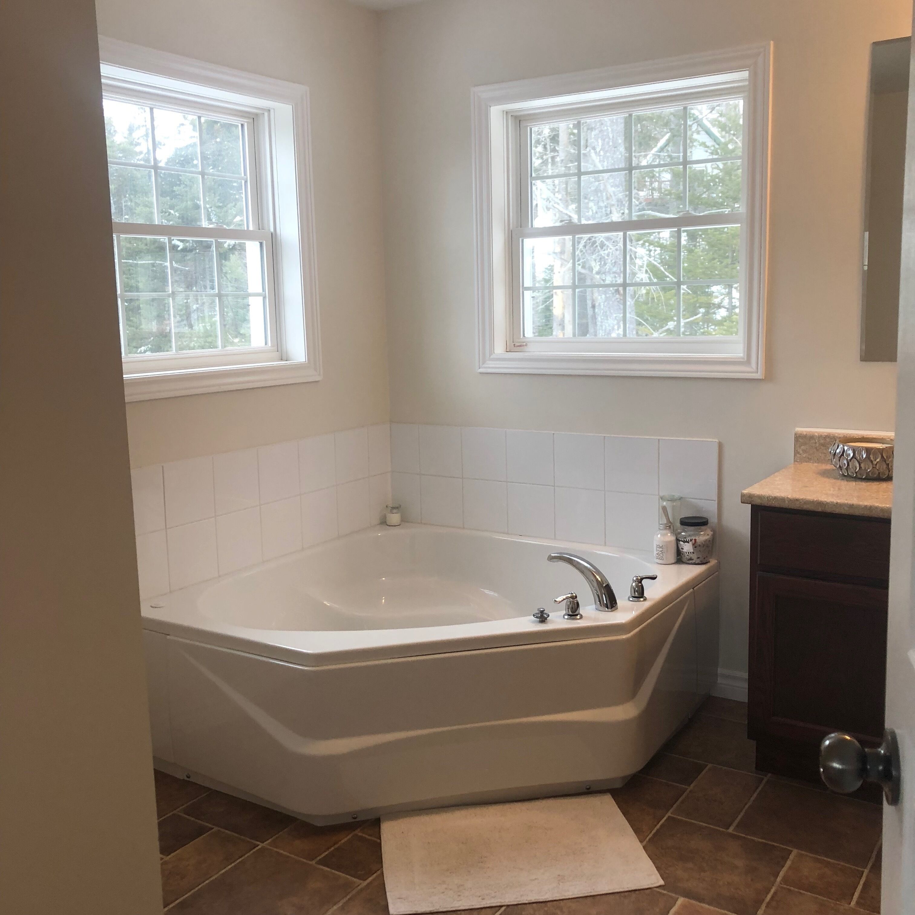 A bathroom with a freestanding bathtub, two windows, and a vanity with a sink and mirror.