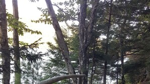 A wooden staircase with metal railings leading up a rocky path in a forested area. - A spacious sanctuary with 10+ private acres a few miles from Acadia NP entrance (Bar Harbor)