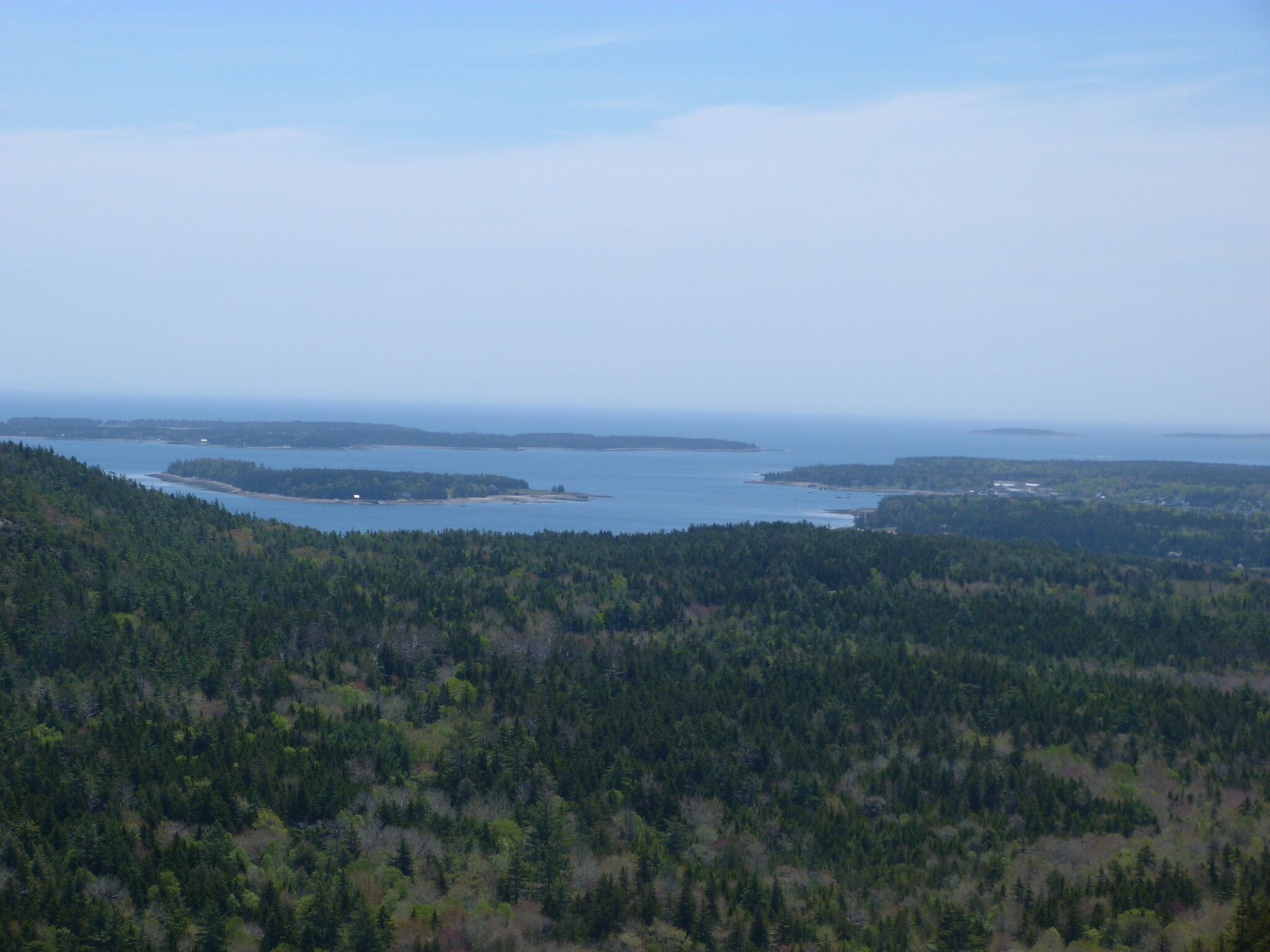 Un paysage côtier caractérisé par une forêt dense et une vue sur la mer.