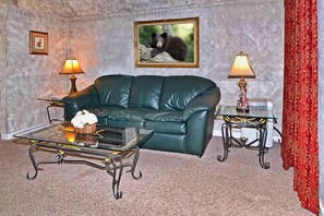 Fernseher, Kamin, DVD-Player