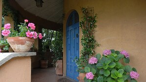Eine überdachte Veranda mit einer blauen Tür, Blumentöpfen und einem Backsteinboden.