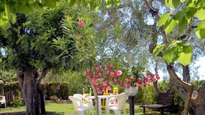 Un espacio al aire libre con sillas de plástico blanco y una mesa, rodeado de abundante follaje y plantas florecientes.