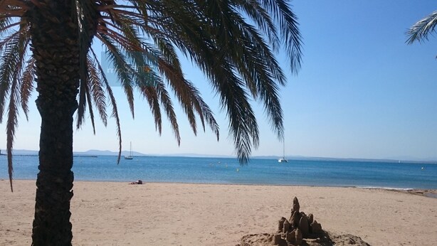 A beach with palm trees, a sandy shore, and a calm sea with boats.