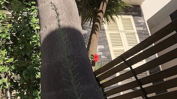 Detalle exterior