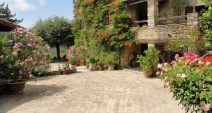 Vasciano - lovely old farmhouse, stunning views, Tuscany/Umbria border