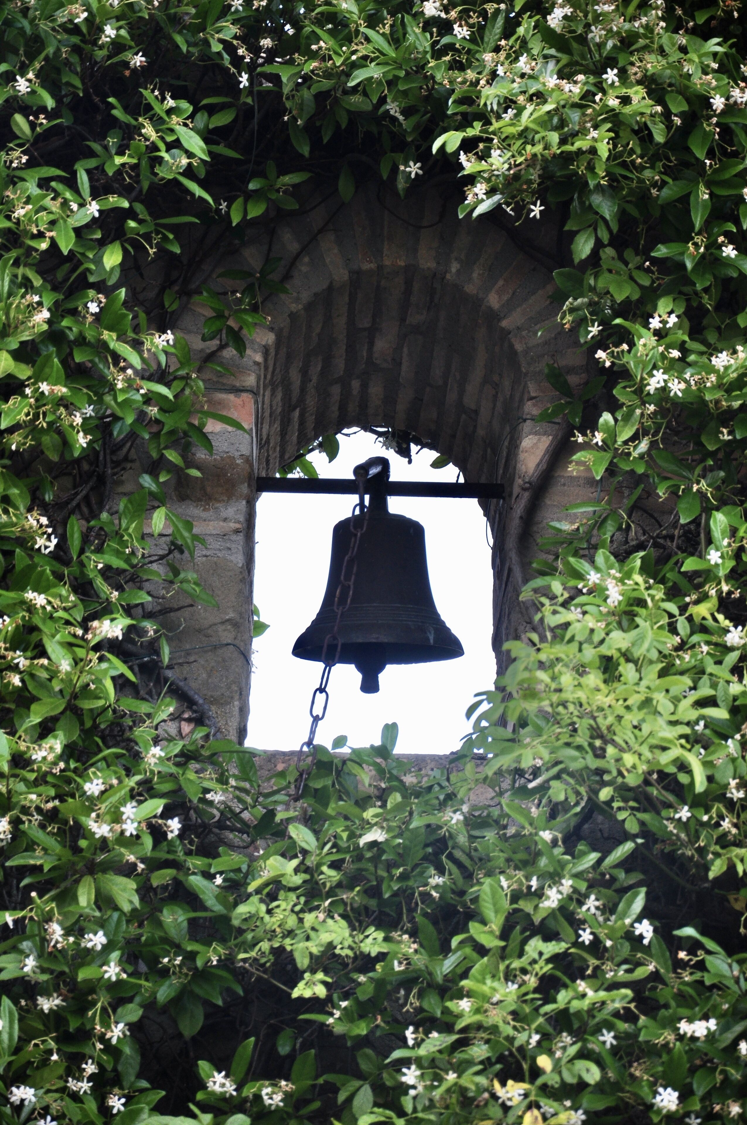 A bell hanging in a stone archway surrounded by greenery.