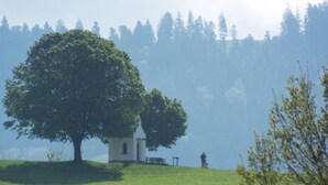 A small white church with a bell tower, surrounded by a grassy field and a large tree. - 77qm 4Pers SatTV Garden Bed linen Towels Final cleaning Parking Washing machine  (Weissensberg)