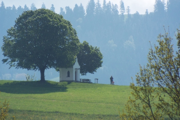 Blick vom Wohnzimmer: der Kapellenberg