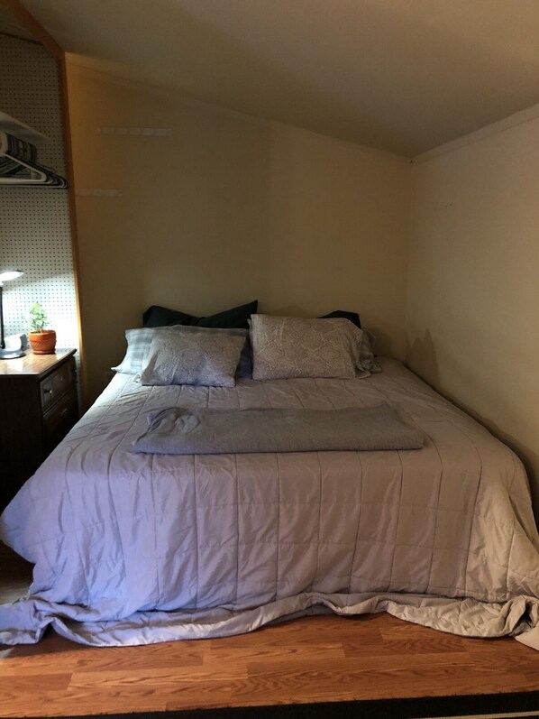 A single bed with a grey quilt, two pillows, and a bedside table with a lamp and a potted plant. - Bright, open Girdwood studio (Anchorage)