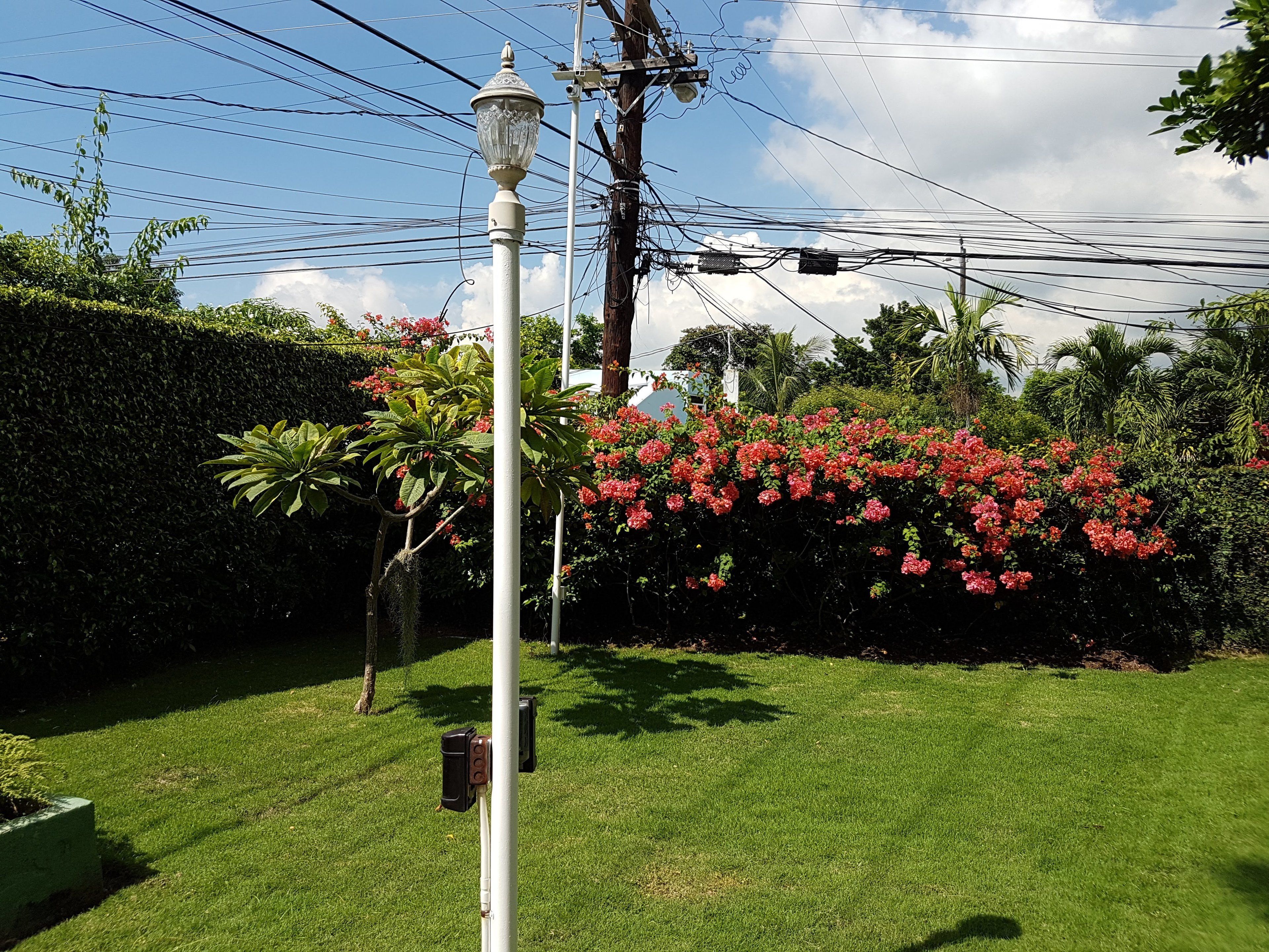 A well-maintained garden with a white lamp post, lush green grass, and vibrant red flowers.