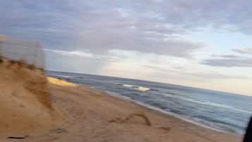 Plage, chaises longues