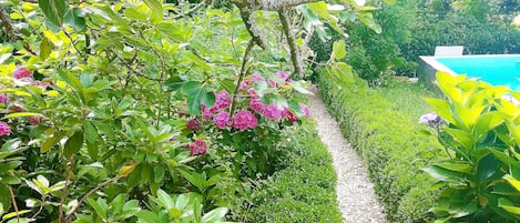 المنطقة المحيطة بالمنشأة