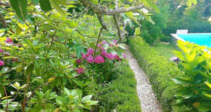 Quinta D'Avó Amélia - Casa D'Avó Amélia