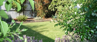 Zentrale Shepparton Wohnung