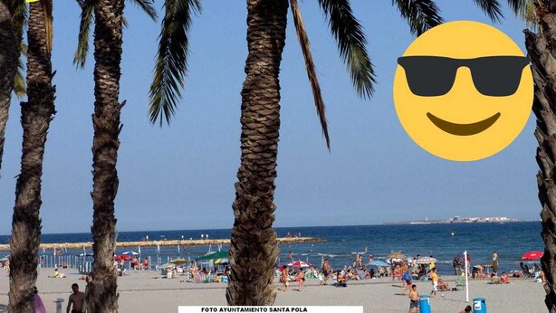 Eine Strandansicht mit Palmen und blauem Himmel.