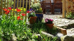 Een tuin met een houten omheining, potplanten en een bank.