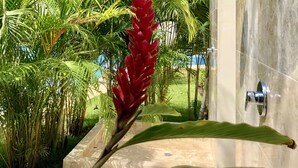 Un espacio exterior moderno para ducha con cabezal de lluvia, rodeado de exuberante follaje tropical y vistas a un edificio de varios pisos con balcones.