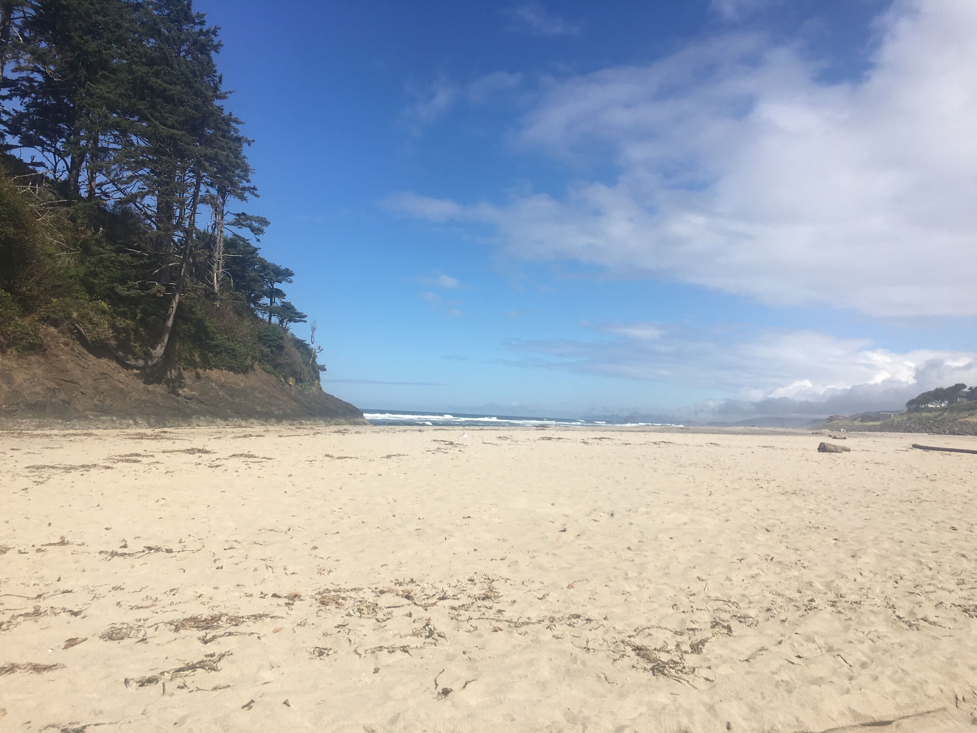 Una playa arenosa con cielo despejado y océano al fondo.