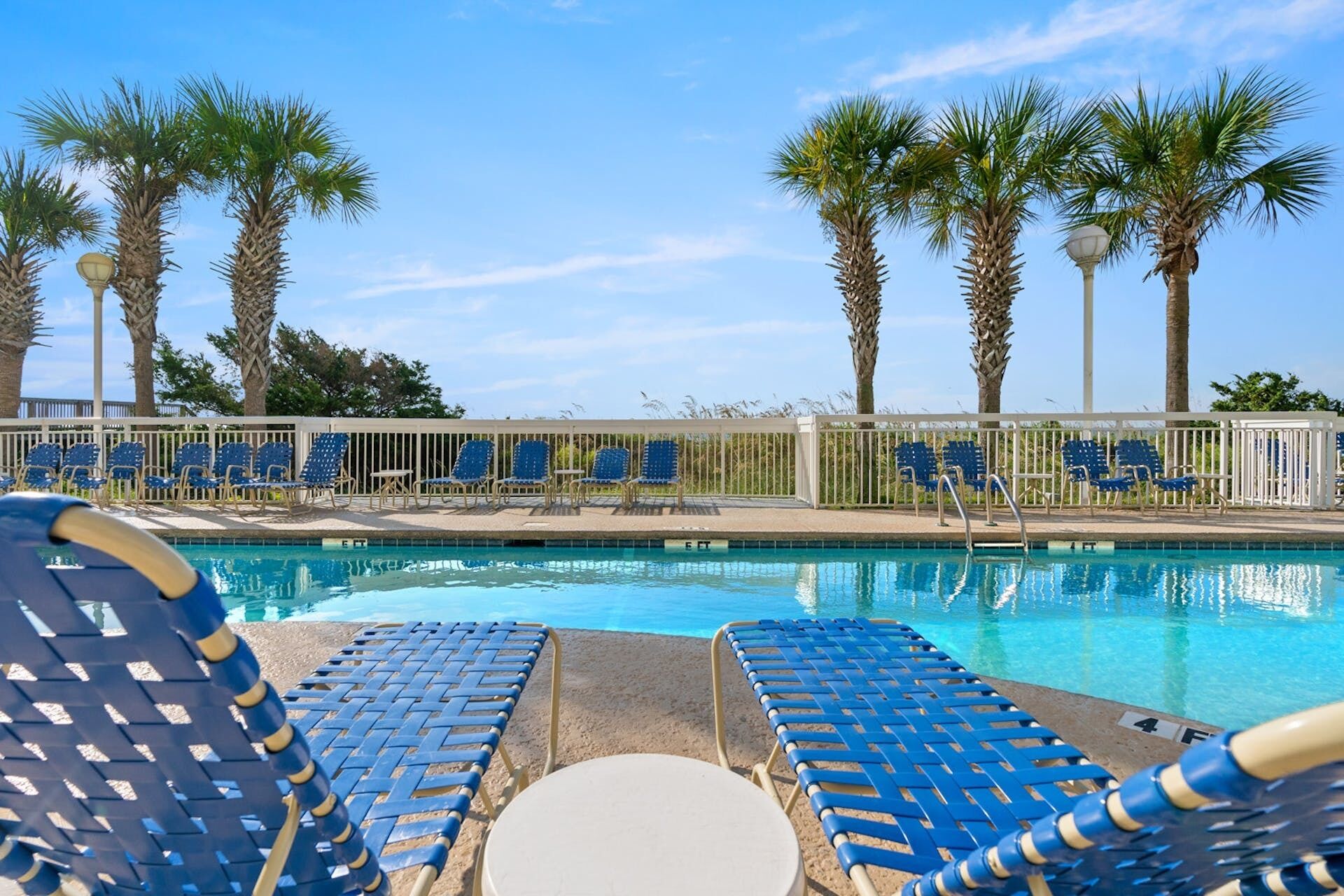 A poolside area with blue lounge chairs and palm trees.