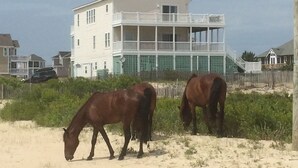 Une maison de plage avec un balcon et une cour clôturée.