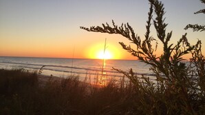 A sunset over the ocean with silhouettes of plants in the foreground. - Enjoy an uncrowded beach, but close to shopping and restaurants. (Surf City)