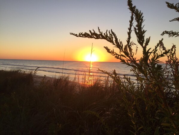 Beach nearby, sun loungers, beach towels