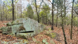 A forested area with a large, weathered rock structure surrounded by fallen leaves and trees. - Romantic Lakeview Treehouse with Jacuzzi Tub & Private Deck (Stigler)