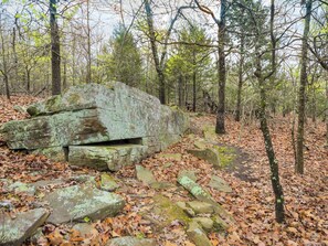 A forested area with a large, weathered rock structure surrounded by fallen leaves and trees. - Romantic Lakeview Treehouse with Jacuzzi Tub & Private Deck (Stigler)