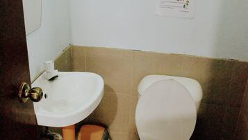 A small bathroom with a sink, toilet, and trash can.