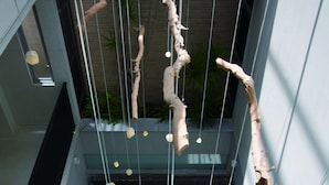 Un atrium moderne agrémenté de sculptures suspendues, d’un élément décoratif aquatique et de plantes d’intérieur.