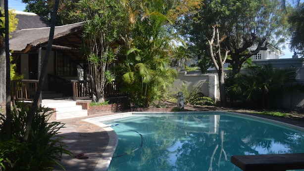 A swimming pool surrounded by lush greenery, a wooden deck, and a building with a thatched roof. - Cycad Lodge (East London)