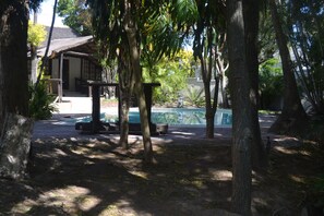 Outdoor pool - Cycad Lodge (East London)