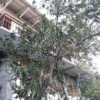 Detalle del exterior