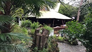 A rustic house with a thatched roof, surrounded by lush greenery and a cobblestone path. - Bahay Isla Sanctuario (Puerto Galera)
