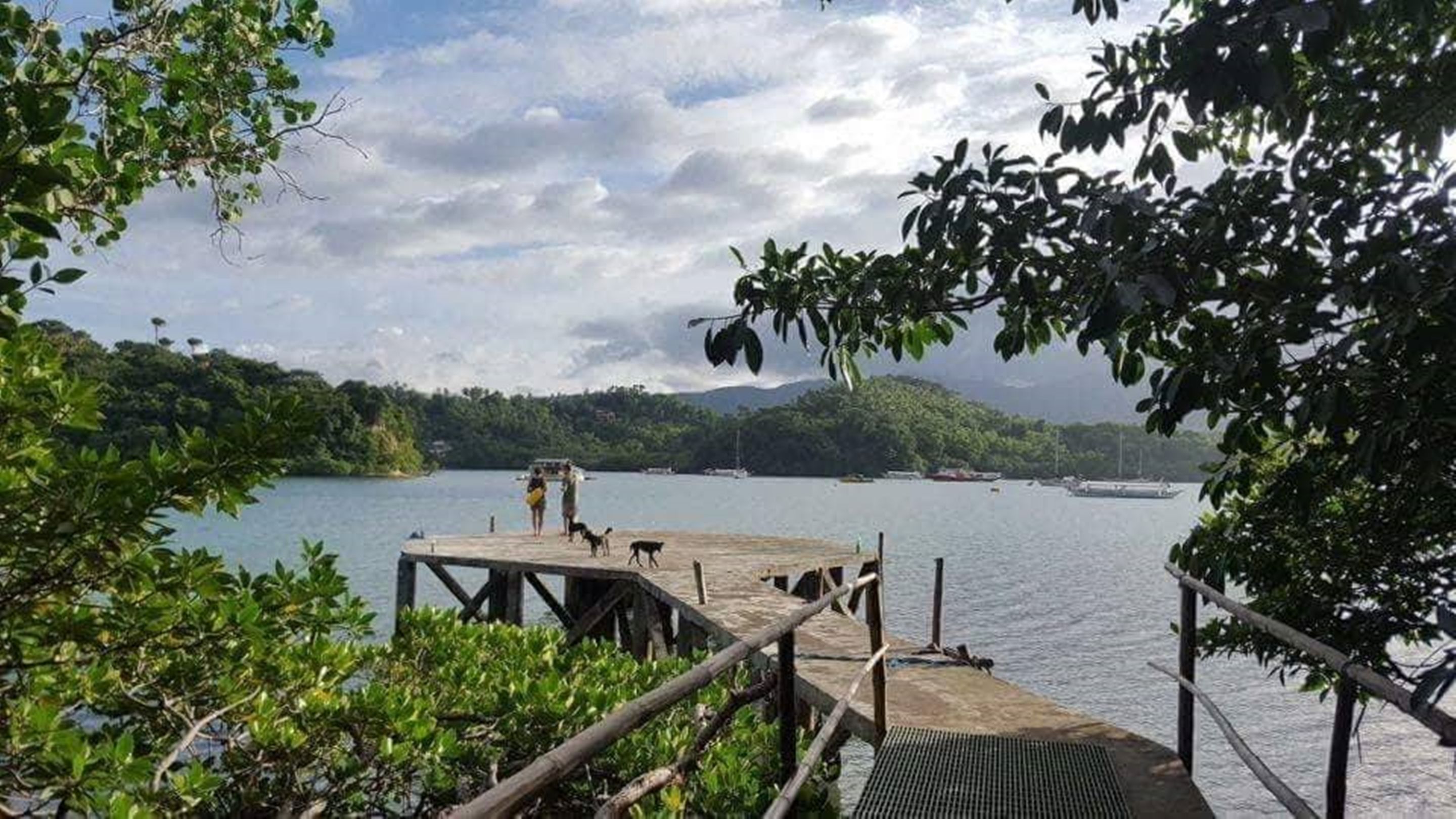 Une jetée en bois s’étendant sur un lac paisible, entourée d’une végétation luxuriante et avec des collines en arrière-plan.