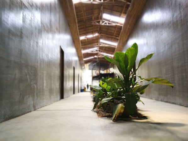 View from property - Big Paul Hostel - Adults Only (El Nido)